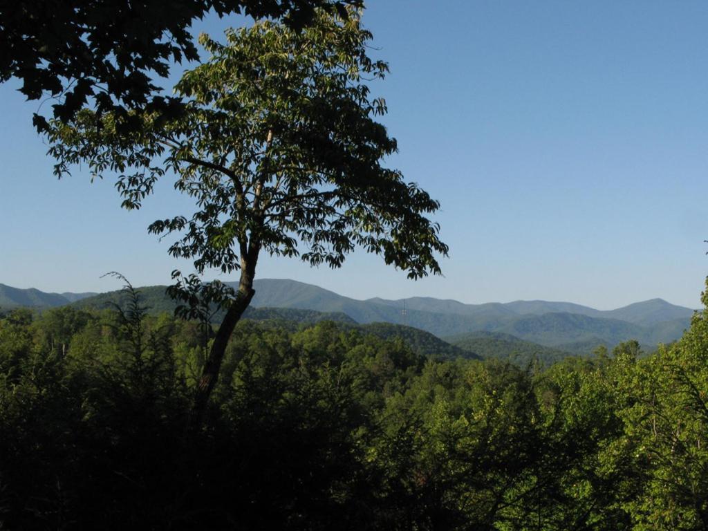 Cubs Cove Villa Gatlinburg Exterior foto
